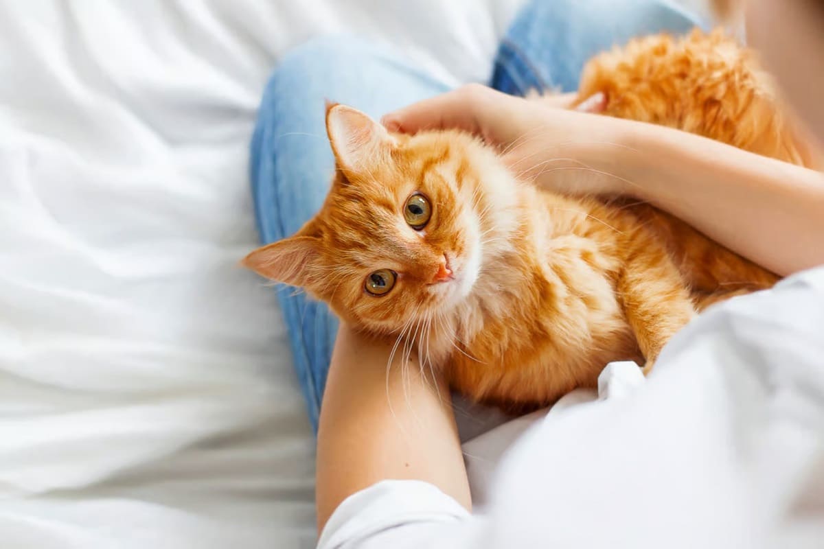 2 Zo trek je de aandacht