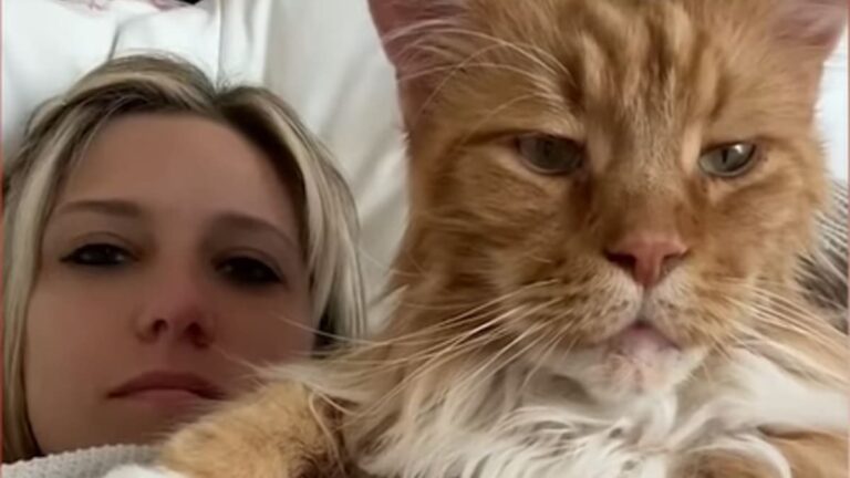 Maak kennis met Finn