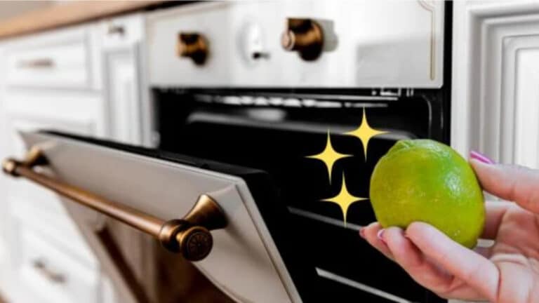 citroen-in-de-ovenhack