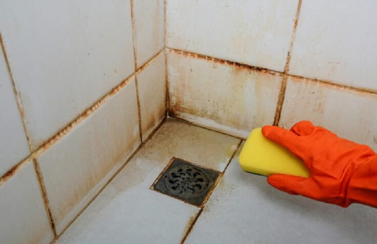 3 Schimmel in de douchelijst