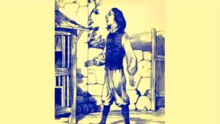 Kun jij alle 8 konijnen vinden