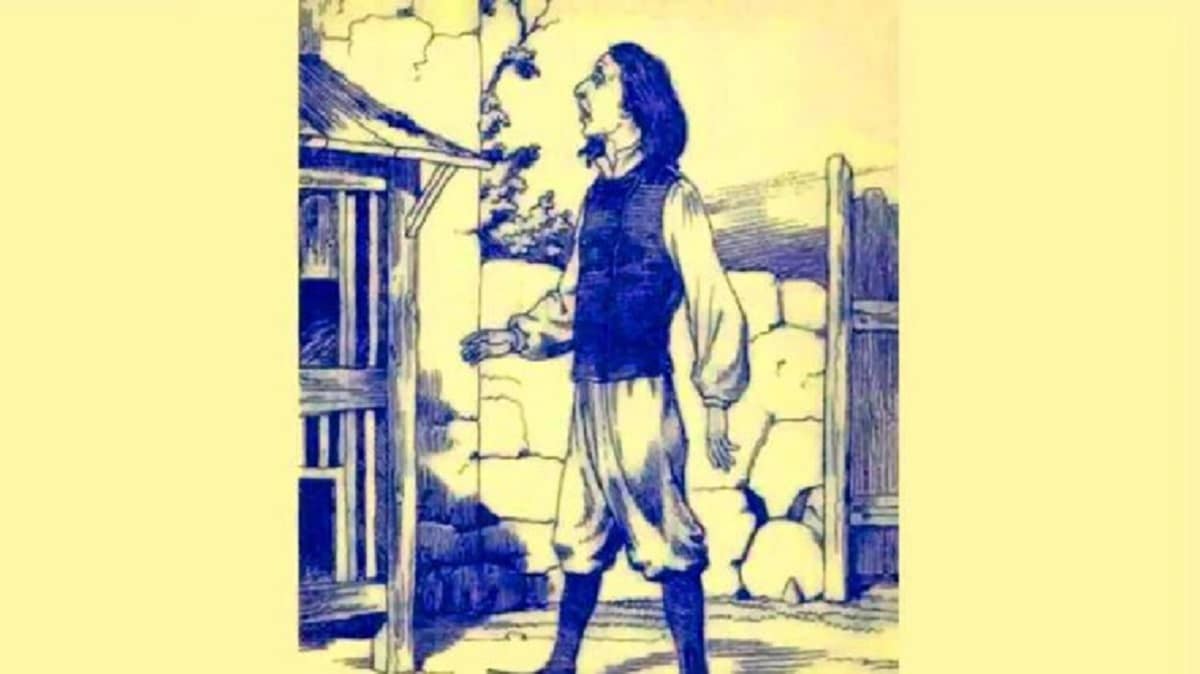 Kun jij alle 8 konijnen vinden