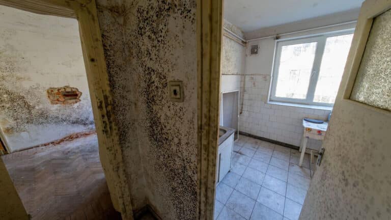 Na ontruiming moet 80-jarige