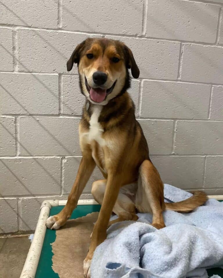 Om 1u30 ’s nachts rinkelt