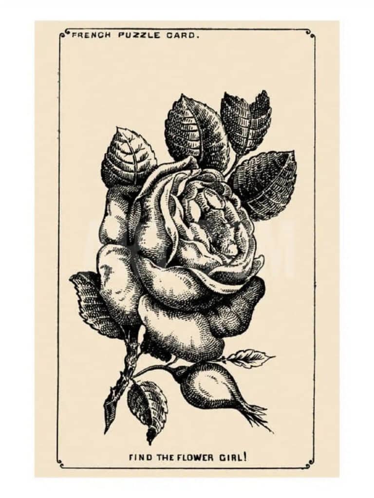 Optische illusie uit 1880