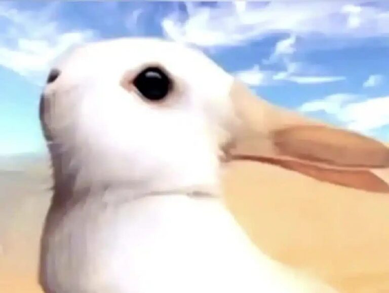 Wat jij eerst ziet onthult of je een pessimist bent