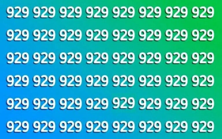 Wie dit cijfer in minder dan 11